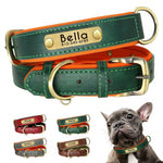 Personalized Leather Dog Collar with Nameplate – Soft & Adjustable
