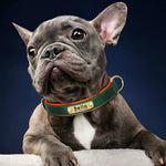 Personalized Leather Dog Collar with Nameplate – Soft & Adjustable