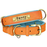 Personalized Leather Dog Collar with Nameplate – Soft & Adjustable