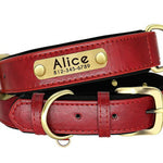 Personalized Leather Dog Collar with Nameplate – Soft & Adjustable