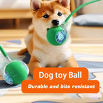 Automatic Interactive Dog Ball Toy – Rechargeable Smart Rolling Ball